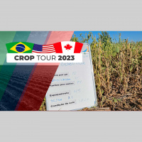 Em Iowa, marca principal da safra 2023/24 é a irregularidade