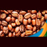 Café arábica fecha semana com acumulado positivo em NY de cerca de 2% em recuperação técnica, apesar de pesar expectativas sobre safra do BR