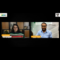 Mudança na política da Petrobras impacta agronegócio indústria sucroenergética deixará de lado etanol para priorizar açúcar