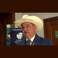 Indicador de Pecuária Datagro nasce da necessidade do pecuarista de conhecer os preços que realmente são praticados no mercado do boi