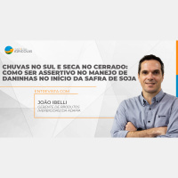 Chuvas no Sul e seca no Cerrado: como ser assertivo no manejo de daninhas no início da safra de soja
