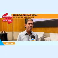 Normativa para bem-estar animal para suínos se desdobra em mudanças no manejo e também nas estruturas das granjas