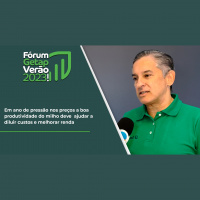 Em ano de pressão nos preços a boa produtividade do milho deve ajudar a diluir custos e melhorar renda