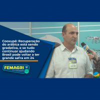 Cooxupé: Recuperação do arábica está sendo gradativa, e se tudo continuar ajudando Brasil pode voltar a ter grande safra em 24