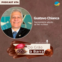 Com investimento de US$ 4,7 milhões, FAO aposta no cultivo de cacau cabruca para conservação da Mata Atlântica