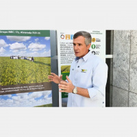 Sistema produtivo de alta tecnologia inclui rotação com arroz e feijão. Conheça a recomendação