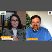 EUA 2023/24: Produtividades estimadas para soja e milho são ambiciosas e clima não poderia trazer deslizes momento é de atenção