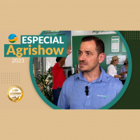 Climatempo enxerga cenário com baixo risco para geadas na safrinha