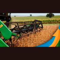 Chuva impede plantio do milho em Laguna Carapã/MS e técnico agrícola recomenda troca por variedades precoces