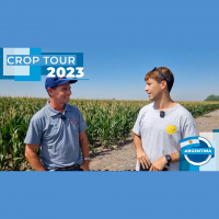 Argentina: Safra 2022/23 é marcada por irregularidade e estimativas que ainda podem cair mais