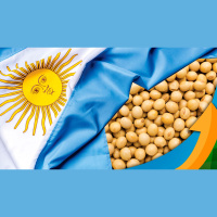 Argentina vai para 2º turno das eleições presidenciais prestes a começar nova safra