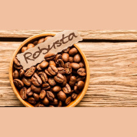 Café: Preocupação com oferta de robusta eleva preços e traz respiro para o mercado de arábica