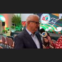 Com 13 milhões de sacas embarcadas até maio, Cecafé enxerga futuro mais positivo com entrada da nova safra