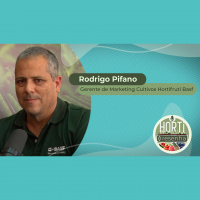 HORTI RESENHA #12 - Basf lança defensivos voltados aos produtores de batata, tomate e uva