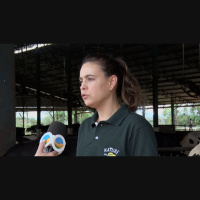 Um dos desafios para a implementação de práticas regenerativas no campo é o engajamento dos produtores, diz especialista