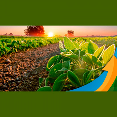 Notícias Agrícolas - Podcasts