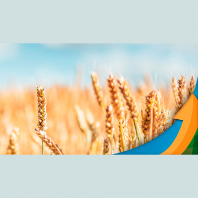 Notícias Agrícolas - Podcasts