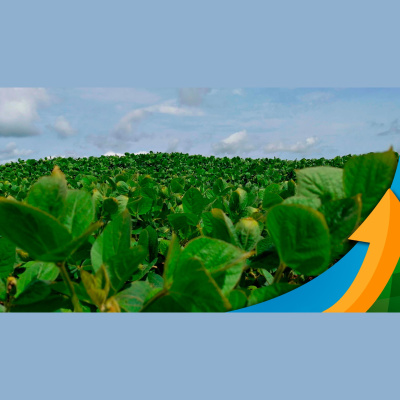 Notícias Agrícolas - Podcasts