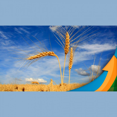 Notícias Agrícolas - Podcasts