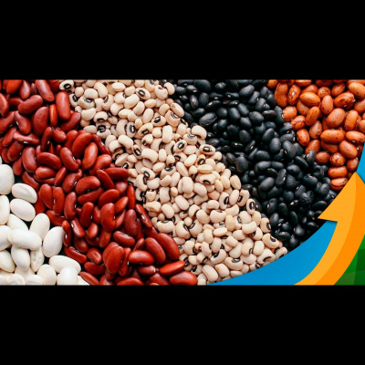 Notícias Agrícolas - Podcasts