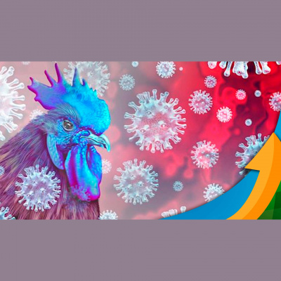 Notícias Agrícolas - Podcasts