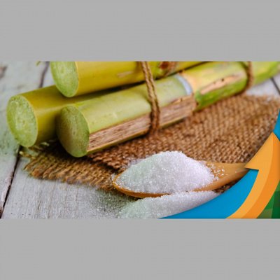 Notícias Agrícolas - Podcasts