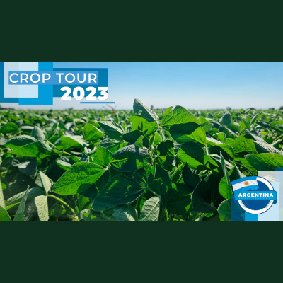 Notícias Agrícolas - Podcasts