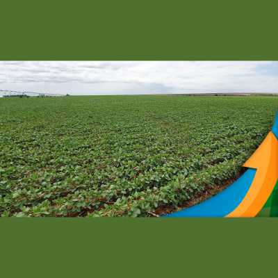 Notícias Agrícolas - Podcasts