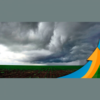 Notícias Agrícolas - Podcasts