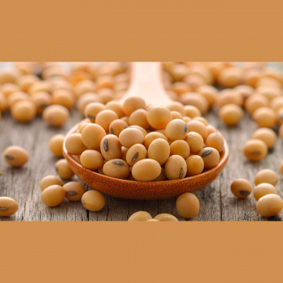 Notícias Agrícolas - Podcasts