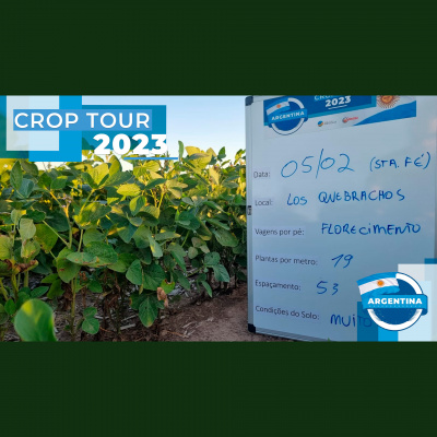 Notícias Agrícolas - Podcasts