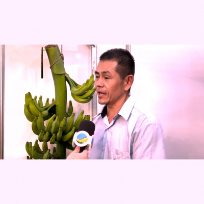 Notícias Agrícolas - Podcasts