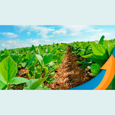 Notícias Agrícolas - Podcasts