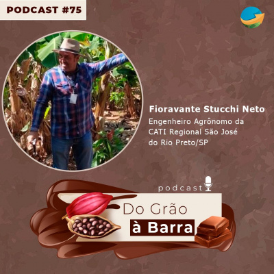 Notícias Agrícolas - Podcasts