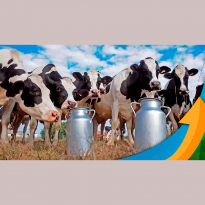 Notícias Agrícolas - Podcasts