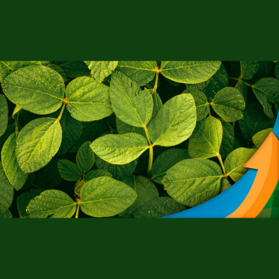 Notícias Agrícolas - Podcasts