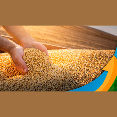 Notícias Agrícolas - Podcasts