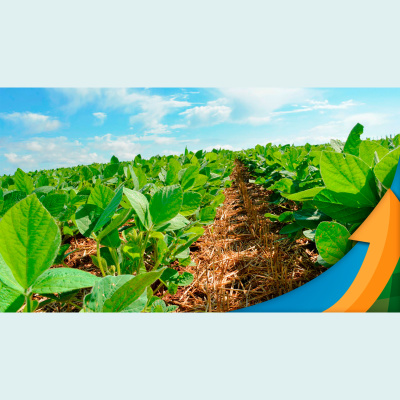 Notícias Agrícolas - Podcasts