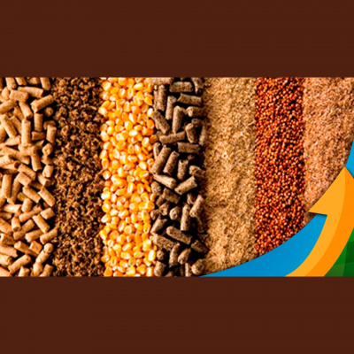 Notícias Agrícolas - Podcasts