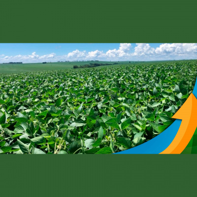 Notícias Agrícolas - Podcasts