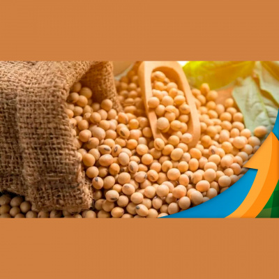 Notícias Agrícolas - Podcasts