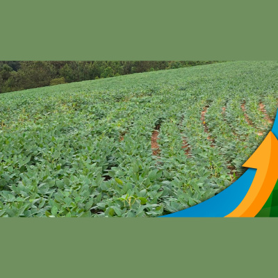 Notícias Agrícolas - Podcasts