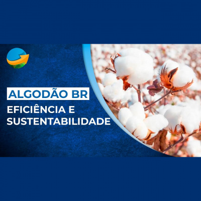 Notícias Agrícolas - Podcasts