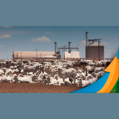 Notícias Agrícolas - Podcasts