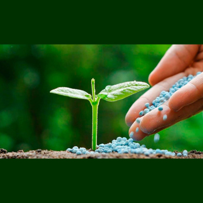 Notícias Agrícolas - Podcasts