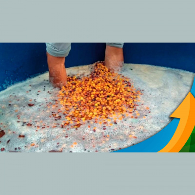 Notícias Agrícolas - Podcasts