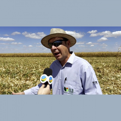 Notícias Agrícolas - Podcasts