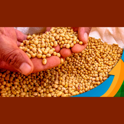 Notícias Agrícolas - Podcasts