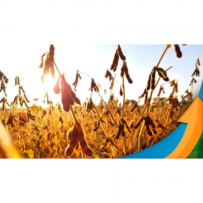 Notícias Agrícolas - Podcasts