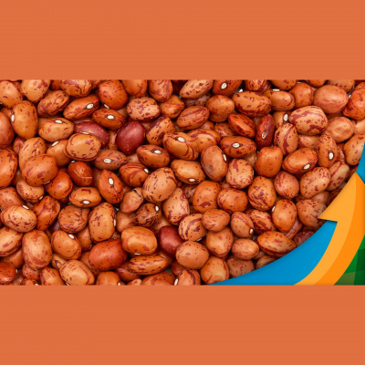 Notícias Agrícolas - Podcasts